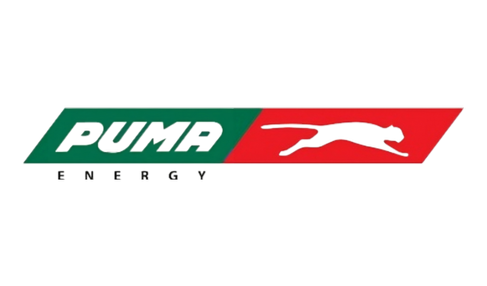 Dynamic Puma Brand Logo